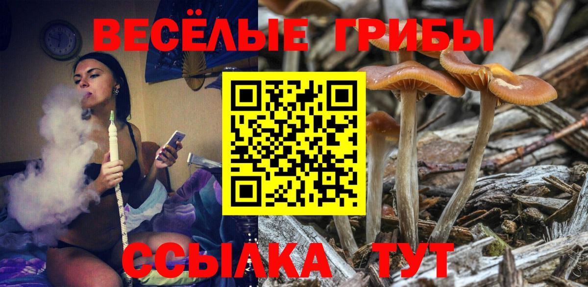 Псилоцибиновые грибы мухоморы Серов