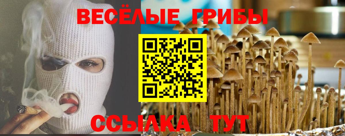 Псилоцибиновые грибы мицелий  Галлюциногенные грибы мухоморы  Вход с VPN  Серов 